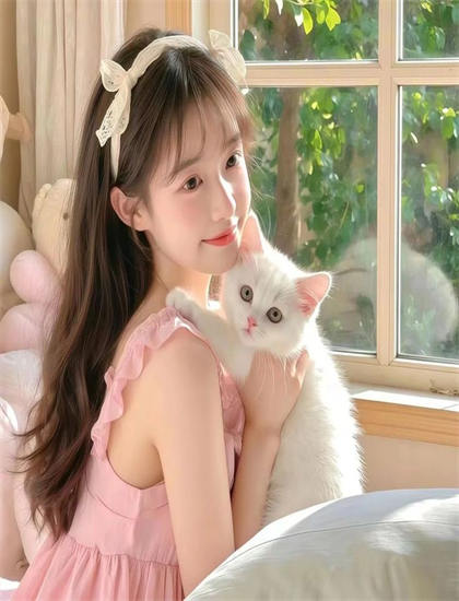 《黑暗森林》：专业人士推荐与评分解读